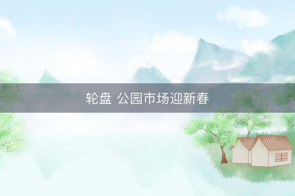 轮盘 公园市场迎新春